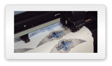 Full colour vinyl graphics Labels